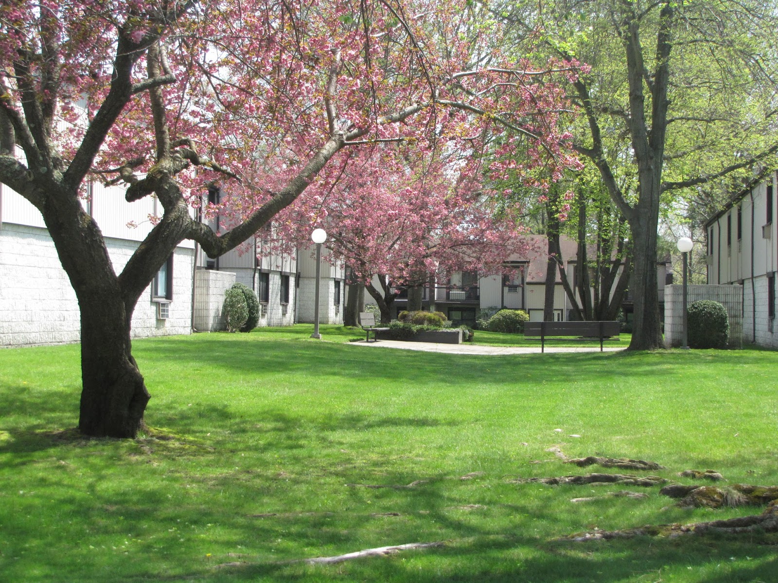 Nob Hill North Condominiums Section I