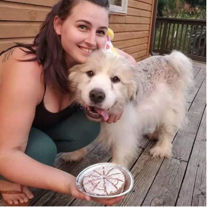 Neglected dog with 35 pounds of heavy wool cover finally gets rid of it