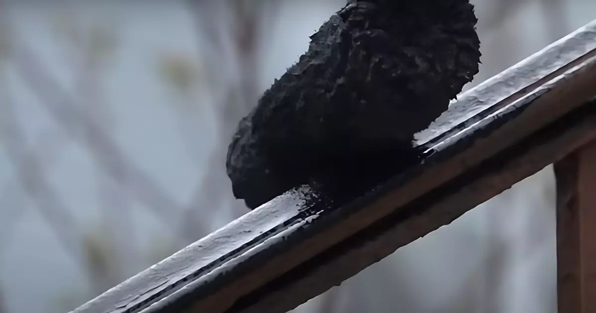 How to Paint on Rust A Quick Guide