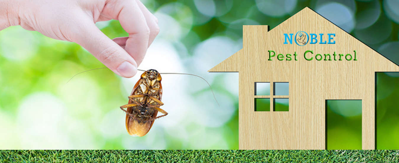 Noble Pest Control