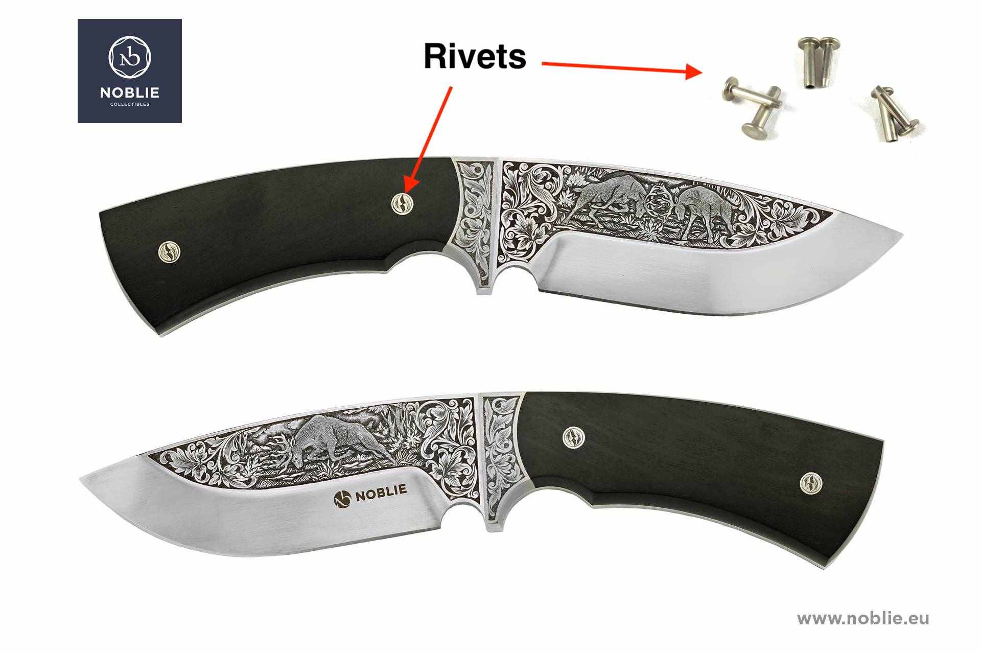 Knife Parts & Knife Terminology Explained Ultimate Guide