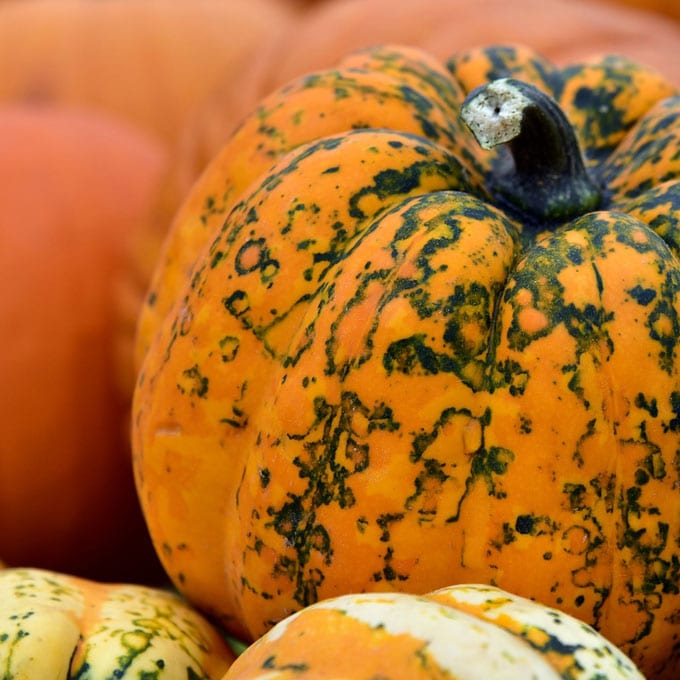20 Low Carb & Keto Pumpkin Recipes No Bun Please