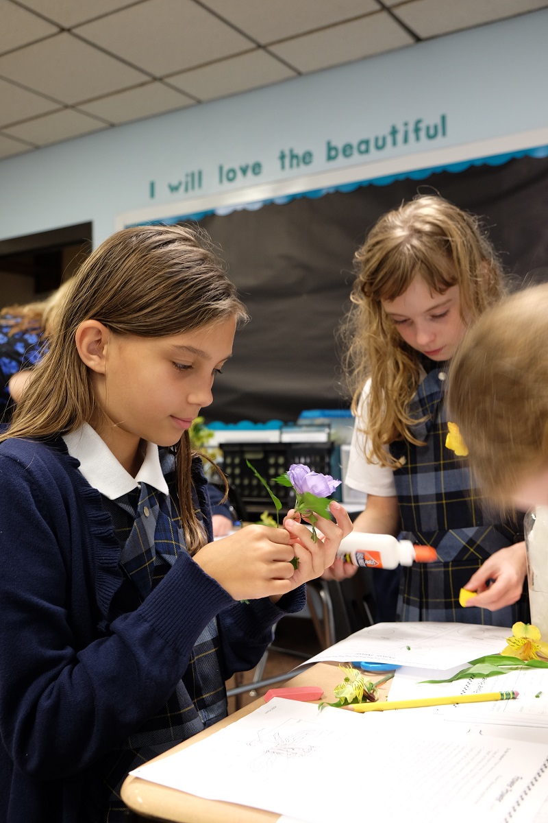 Delays and Cancellations NOCA