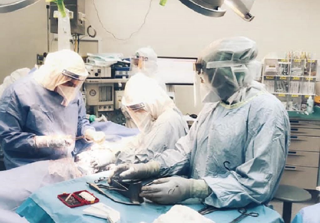 New Women’s Health Innovation Center At Sheba Spotlights Femtech