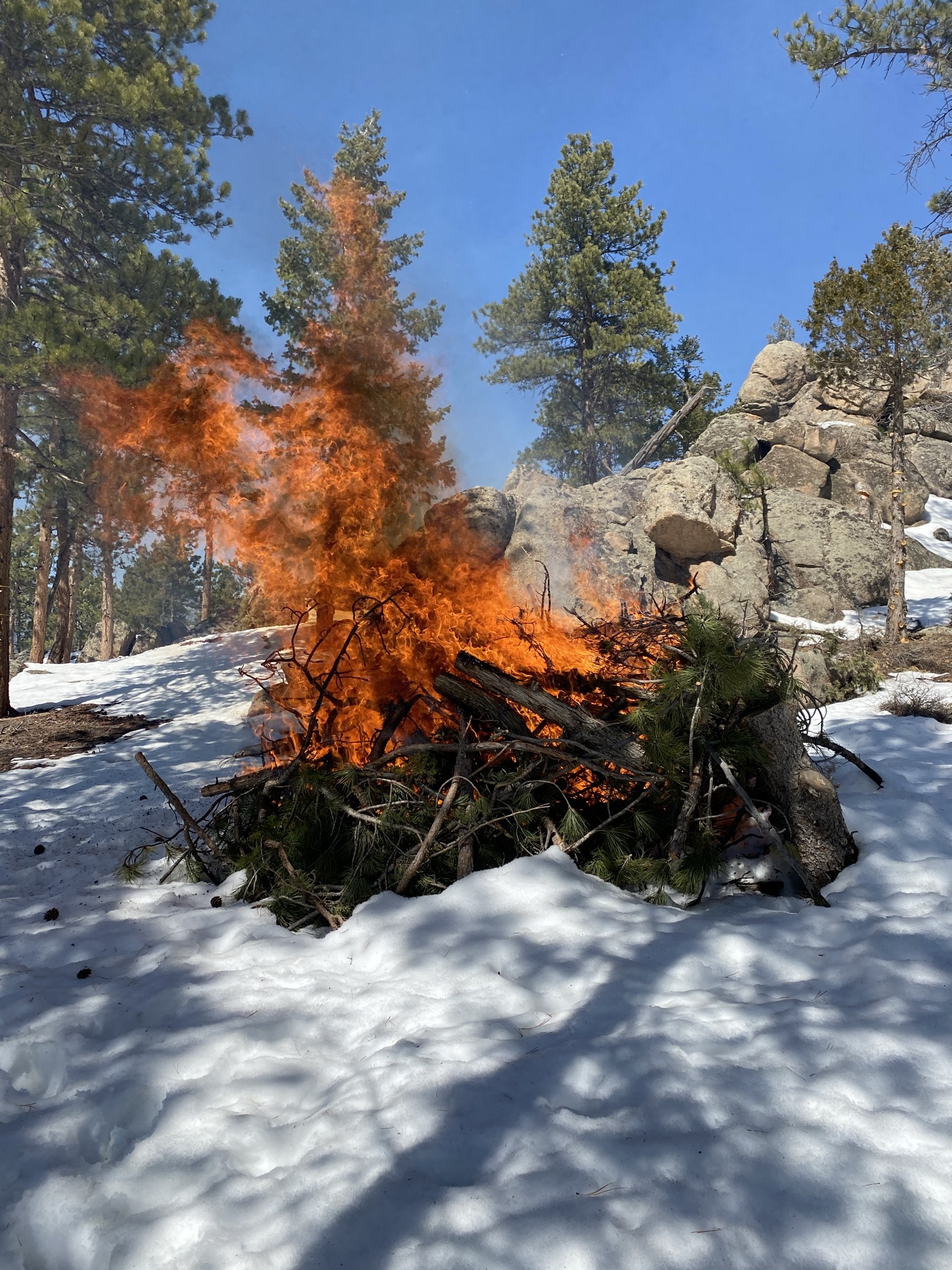 Glen Haven Volunteer Fire Department to Begin 2023 Pile Burning