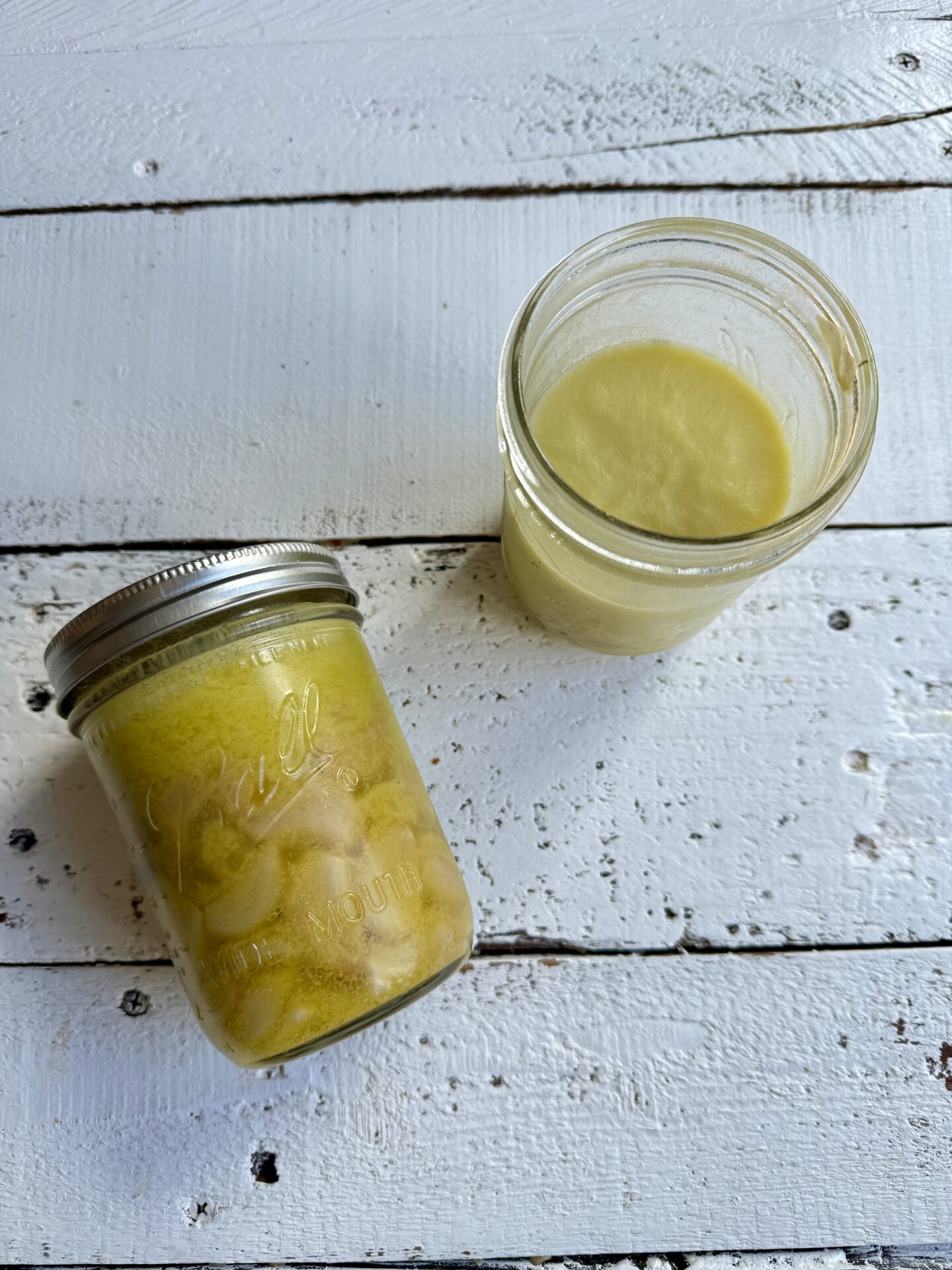 The Best Garlic Confit Recipe For Garlic Lovers nocrumbsleft