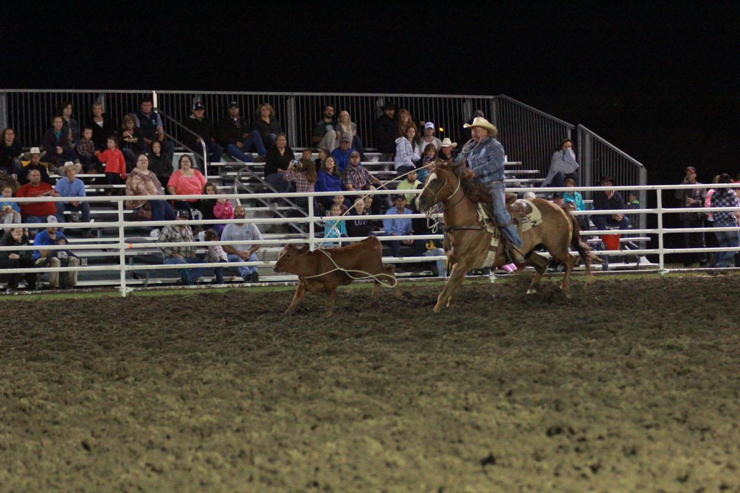 Ed Phillips Memorial Rodeo provides fun for all Nodaway News