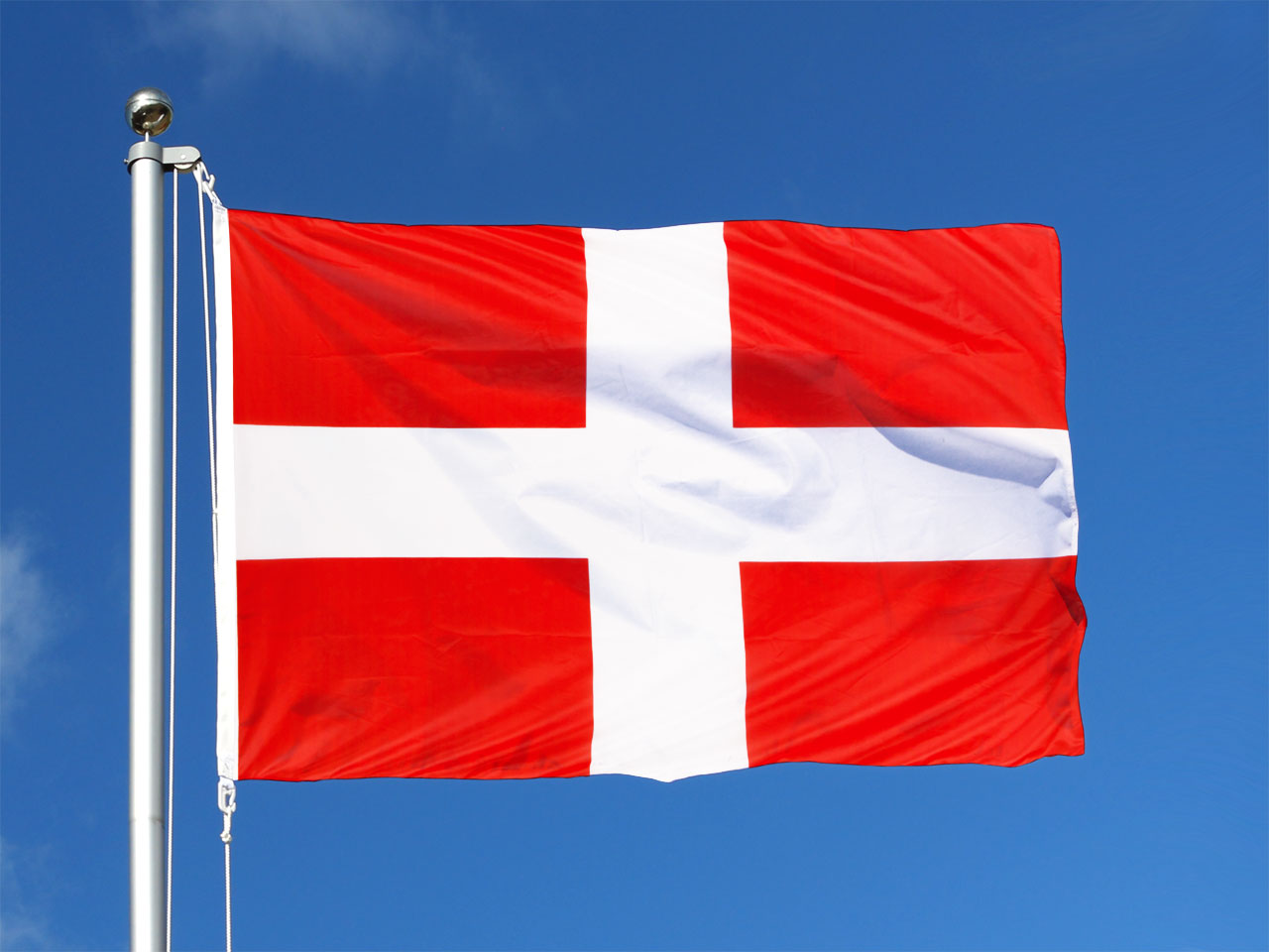 Acheter drapeau Savoie 17 tailles disponibles MonsieurdesDrapeaux