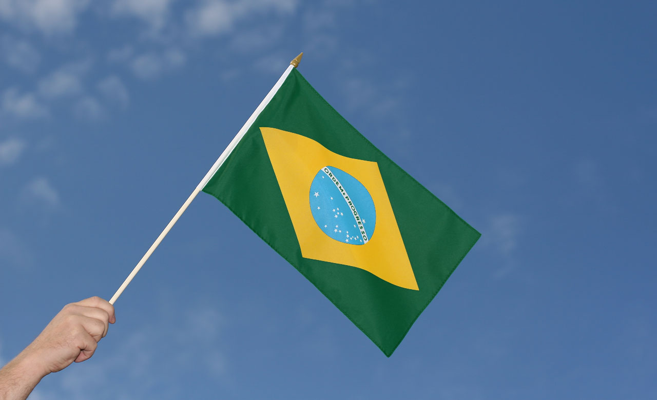 Brazil Hand Waving Flag 12x18" MaxFlags RoyalFlags