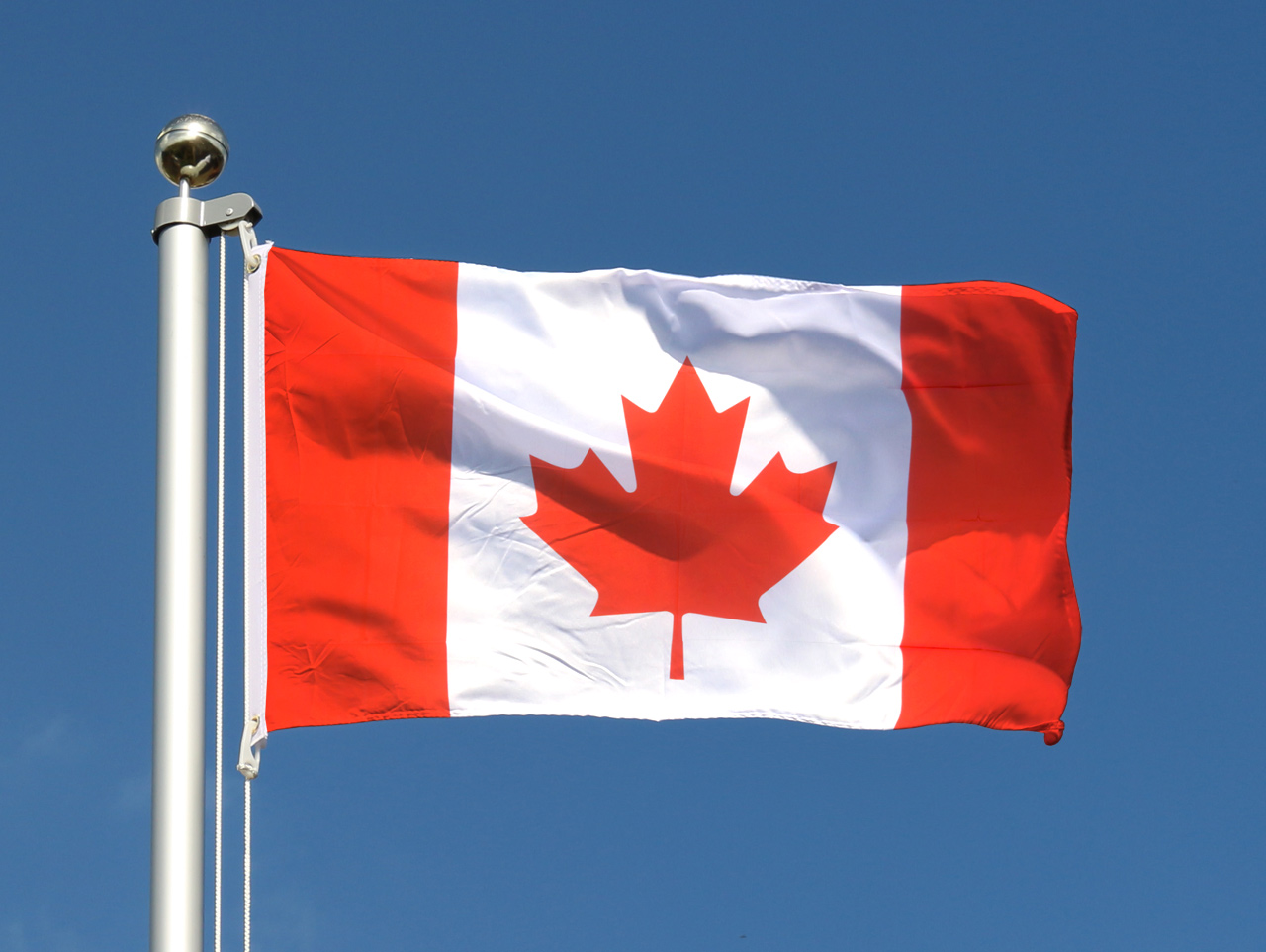 Cheap Flag Canada 2x3 ft RoyalFlags