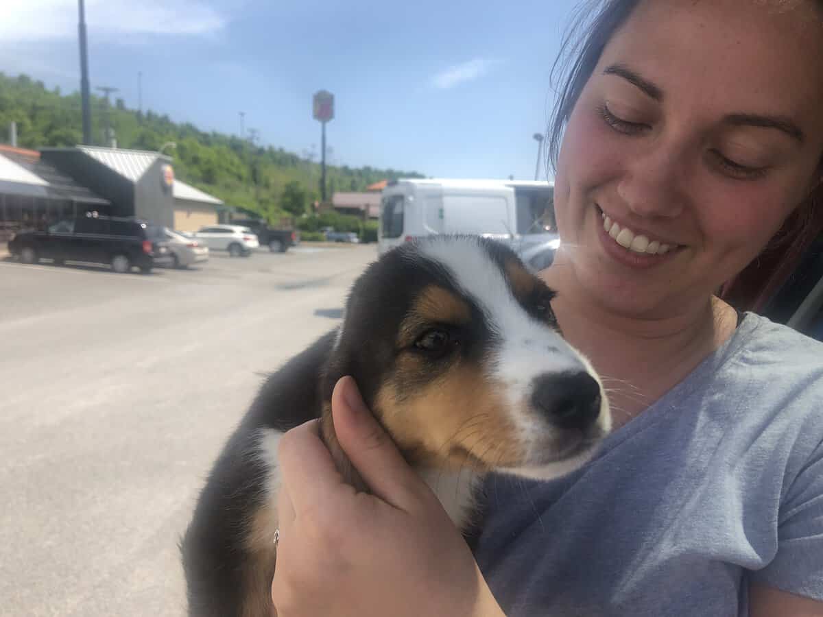 PAART Landpilots Rescue 3 Puppies From West Virginia PAART