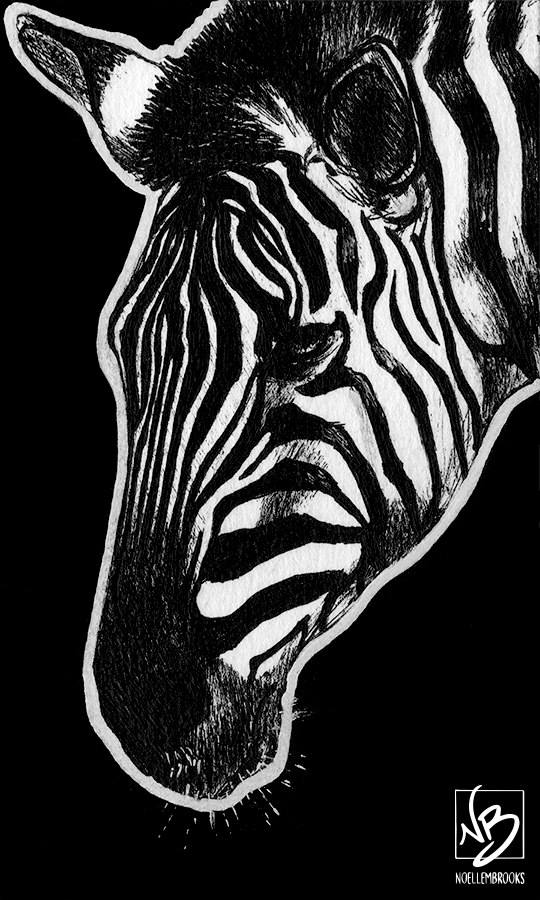 Print “Quagga” (Plains Zebra) Noelle M. Brooks