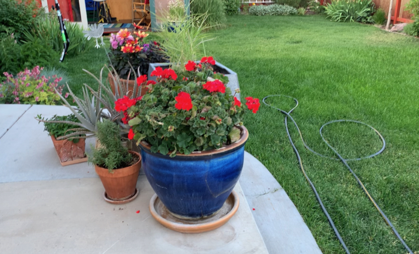 How To Repair Ceramic Pottery noelle o designs