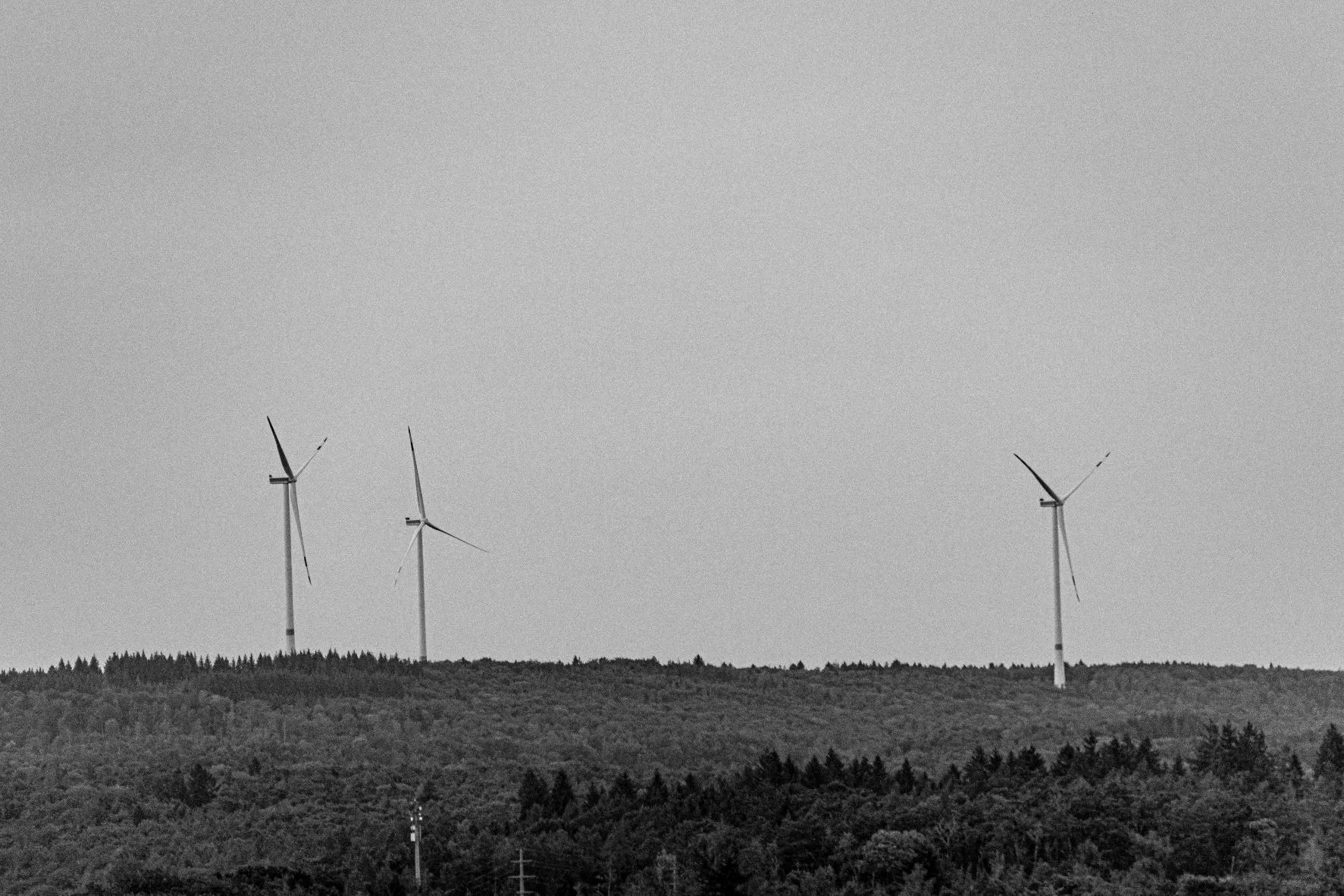 DIY Canon EOS R7 battery grip Noel Wangler