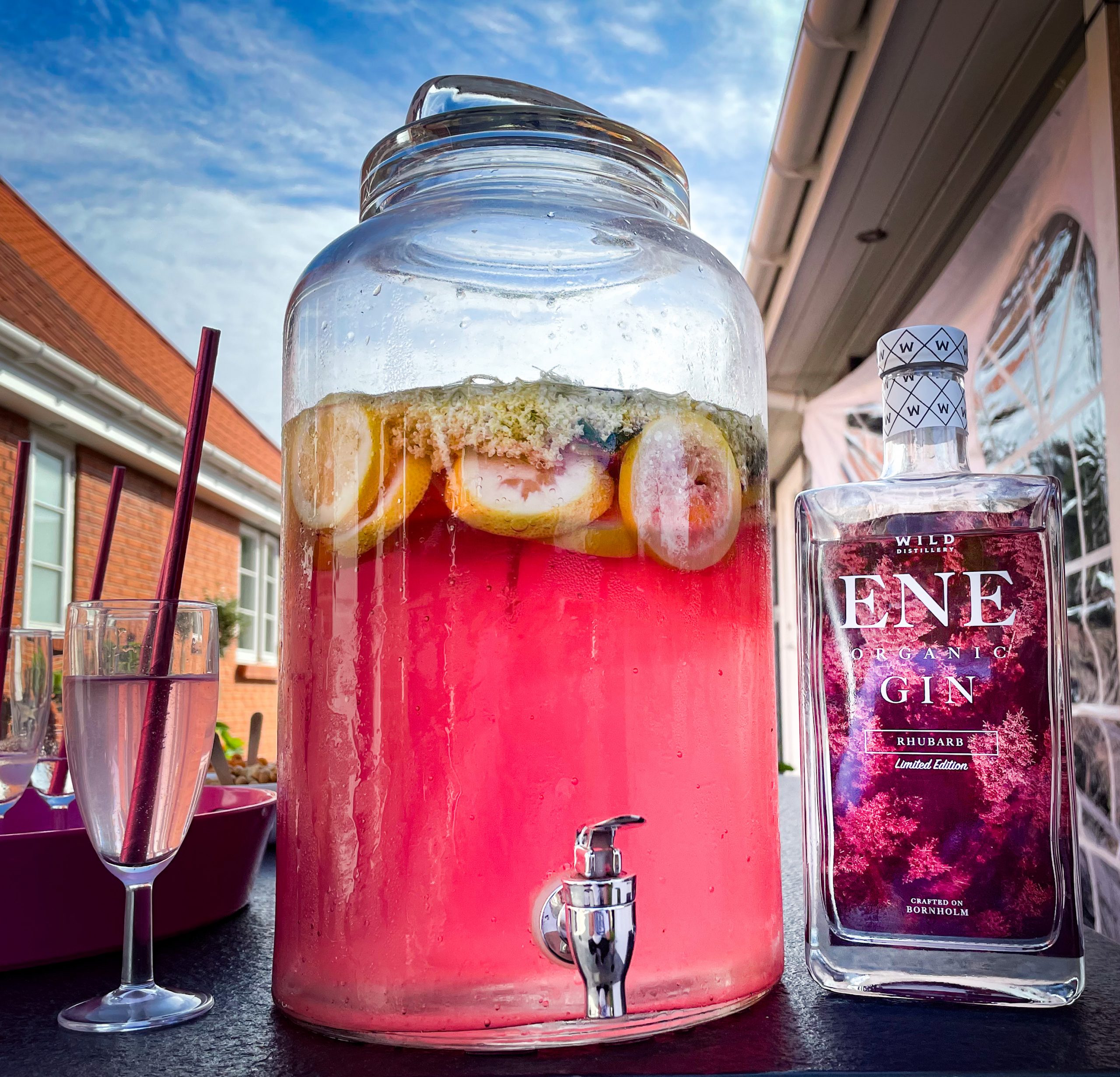 Hyldeblomst velkomstdrink med rabarber gin Nørvigs Køkken