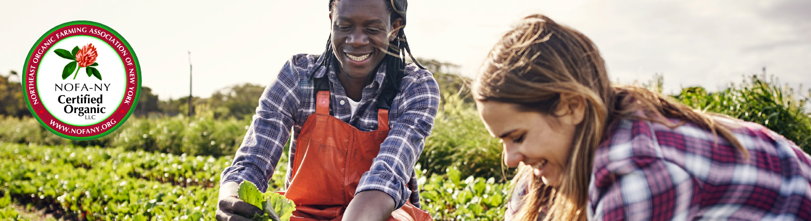 Farm Events 2023 Nyc Apply for Organic Certification NOFANY Northeast Organic Farming
