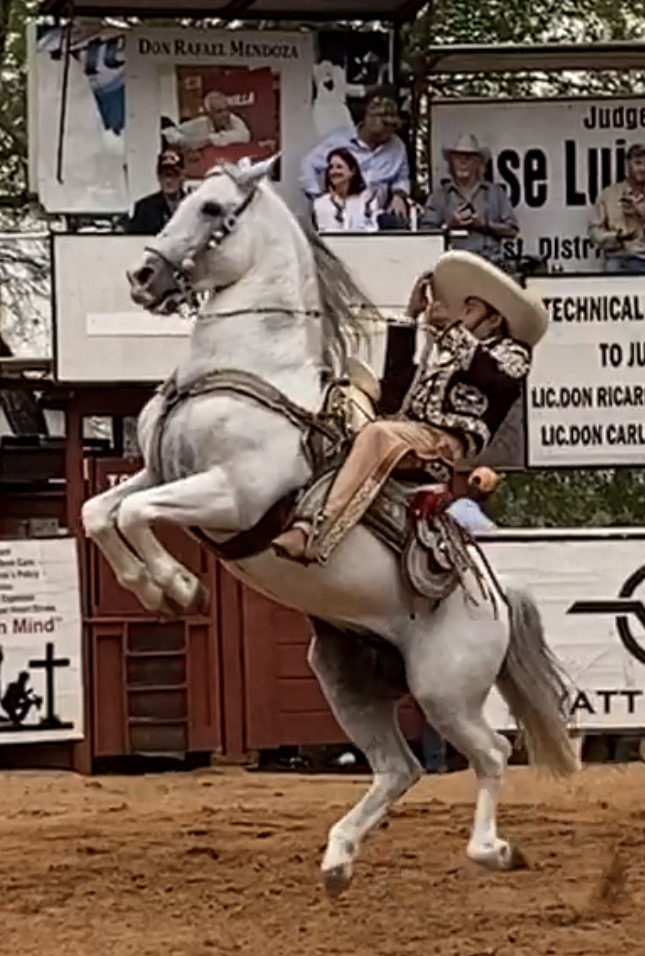 Santa Maria Bullring La Gloria, TX Living In Eternity