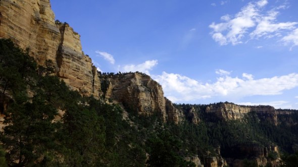 Looking up at canyon walls