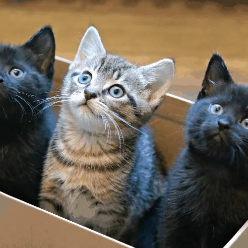 Spies in Disguise Spoilers Without Context