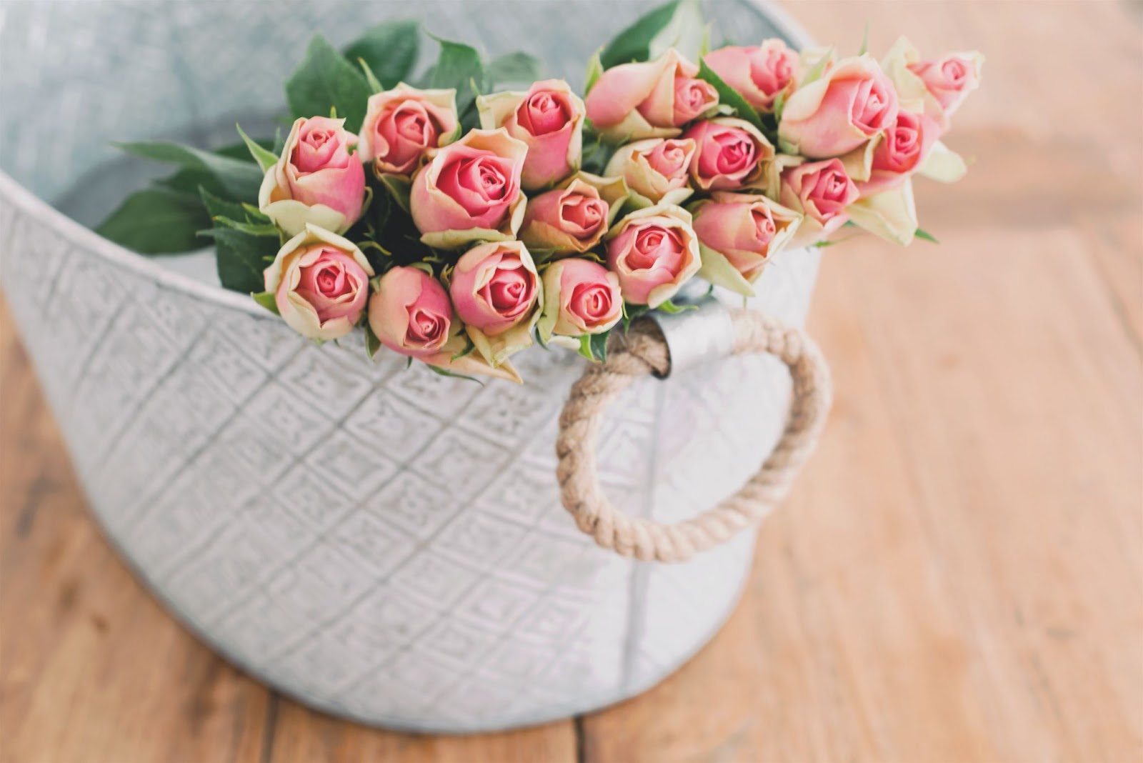 What Does That Rose Mean? A Guide to Choosing the Right Color for Every