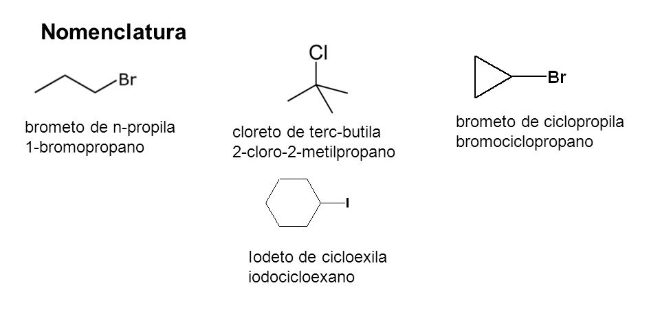 Aula 2 Nomenclatura orgânica Noic