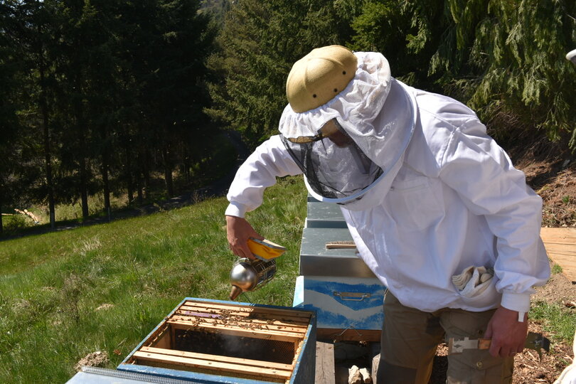 Formation apiculteur Découvrez l'apiculture naturelle