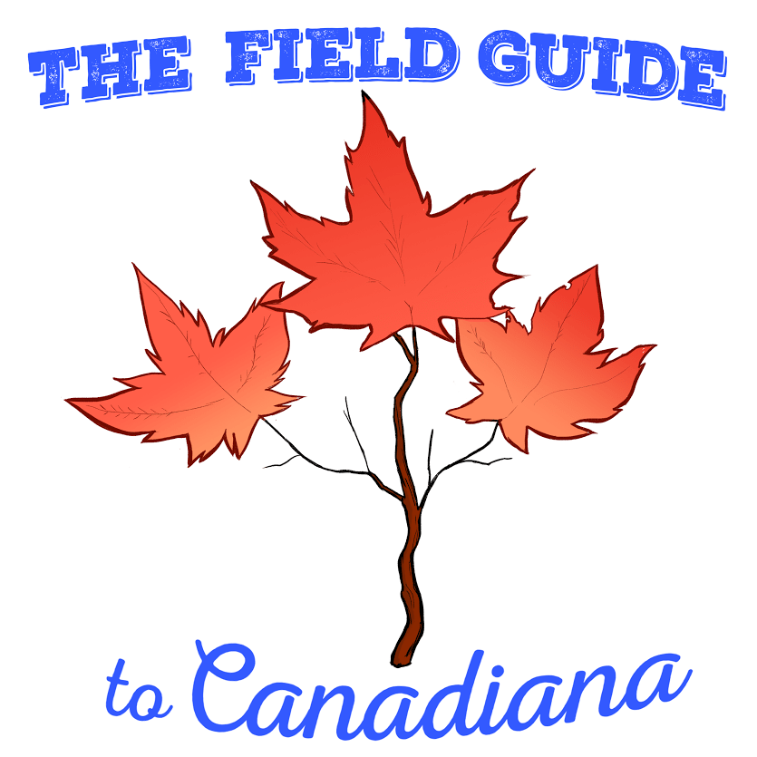 The Field Guide to Canadiana Noise Space