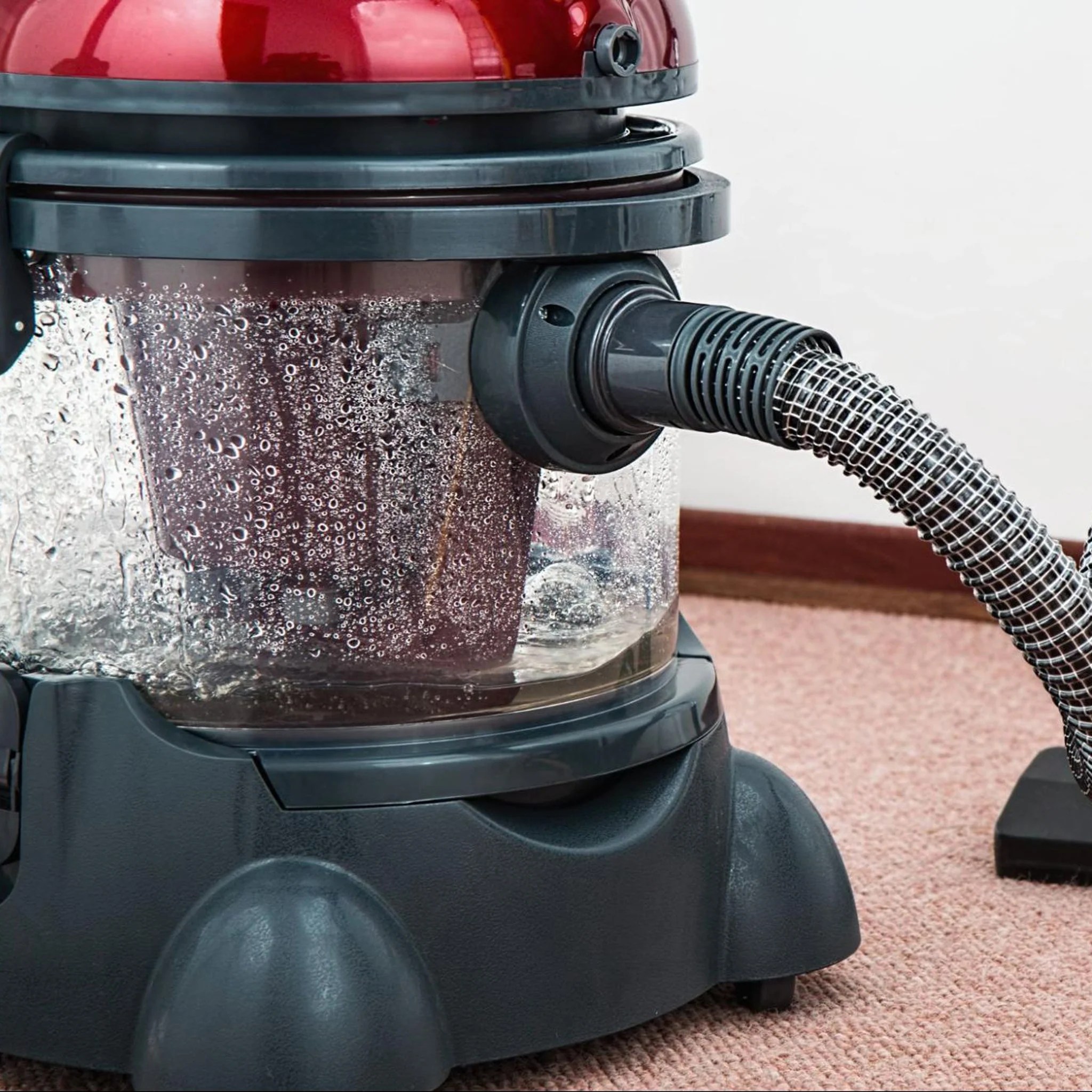 StepbyStep Guide to Steam Clean Your Sofa Nolan Interior