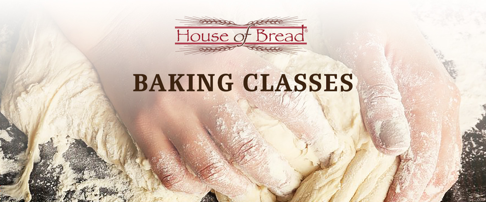 In Store House of Bread Nolensville