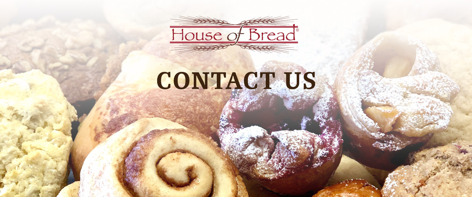 Contact Us House of Bread Nolensville