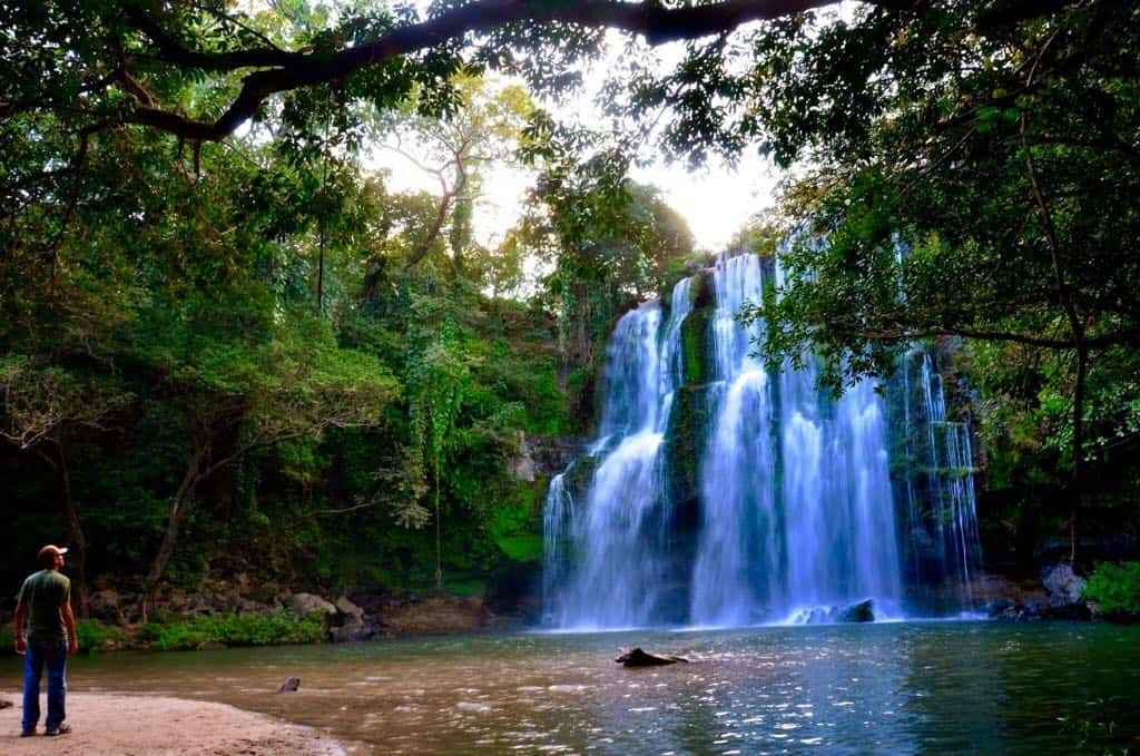 Palo Verde Full Day Trip No Limit Adventures Costa