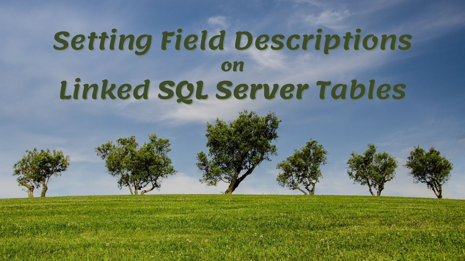 Set Field Descriptions on Linked SQL Server tables