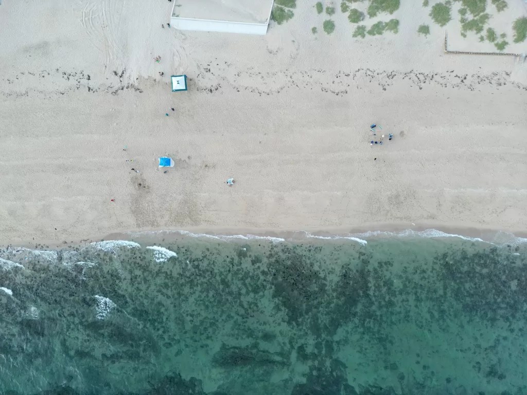 From Phoenix To Rocky Point, All You Need To Know