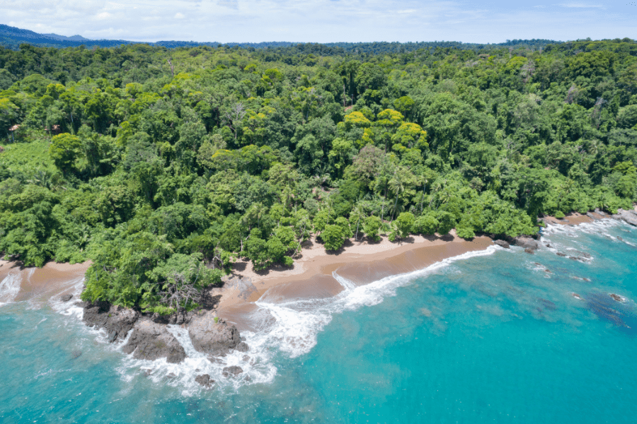 Costa Rica Digital Nomad Visa Guide 2024