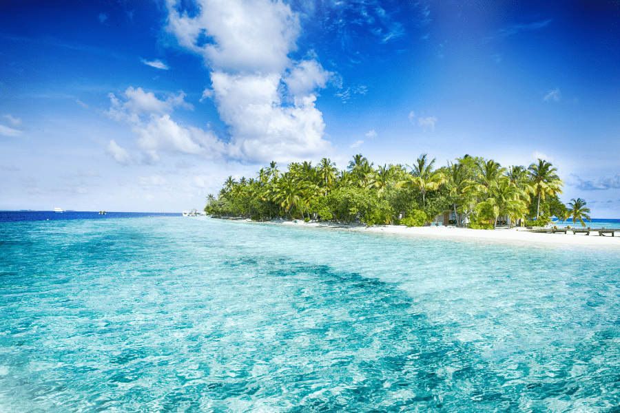 How to Set Up an Offshore Cook Islands Trust in 2024