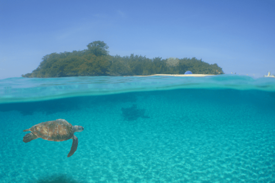 How to Get Curacao Residence by Investment