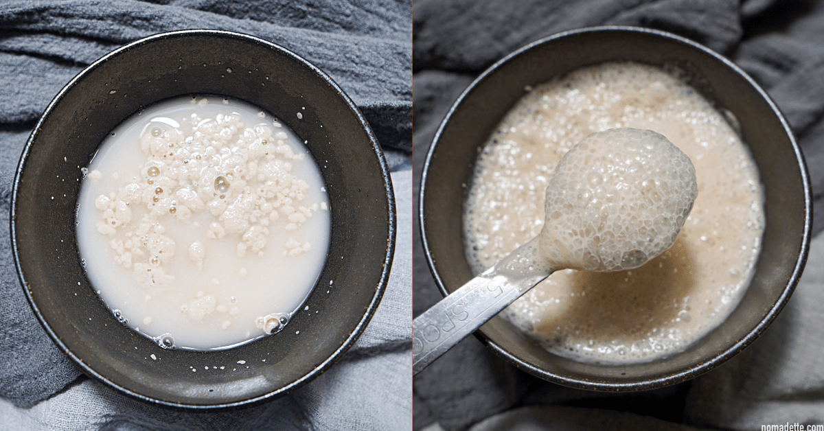 Howtobloominstantyeast Nomadette