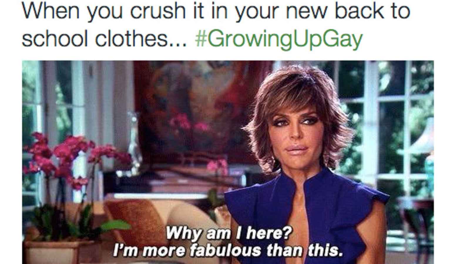The Best Gay Memes of 2021 Funny gay memes • Nomadic Boys
