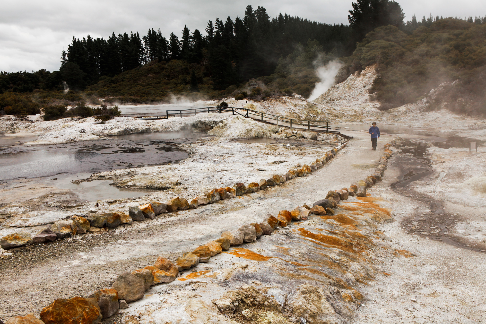 New Zealand Hells Gate Geothermal Pools & Mud Spa Nomadic Fare