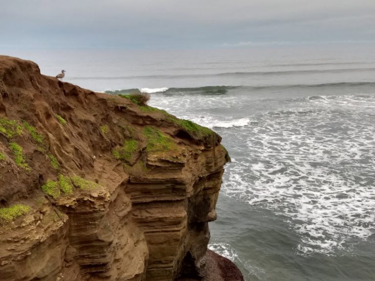 Dog Beach and Sunset Cliffs Bike Ride Nomadic In Nature