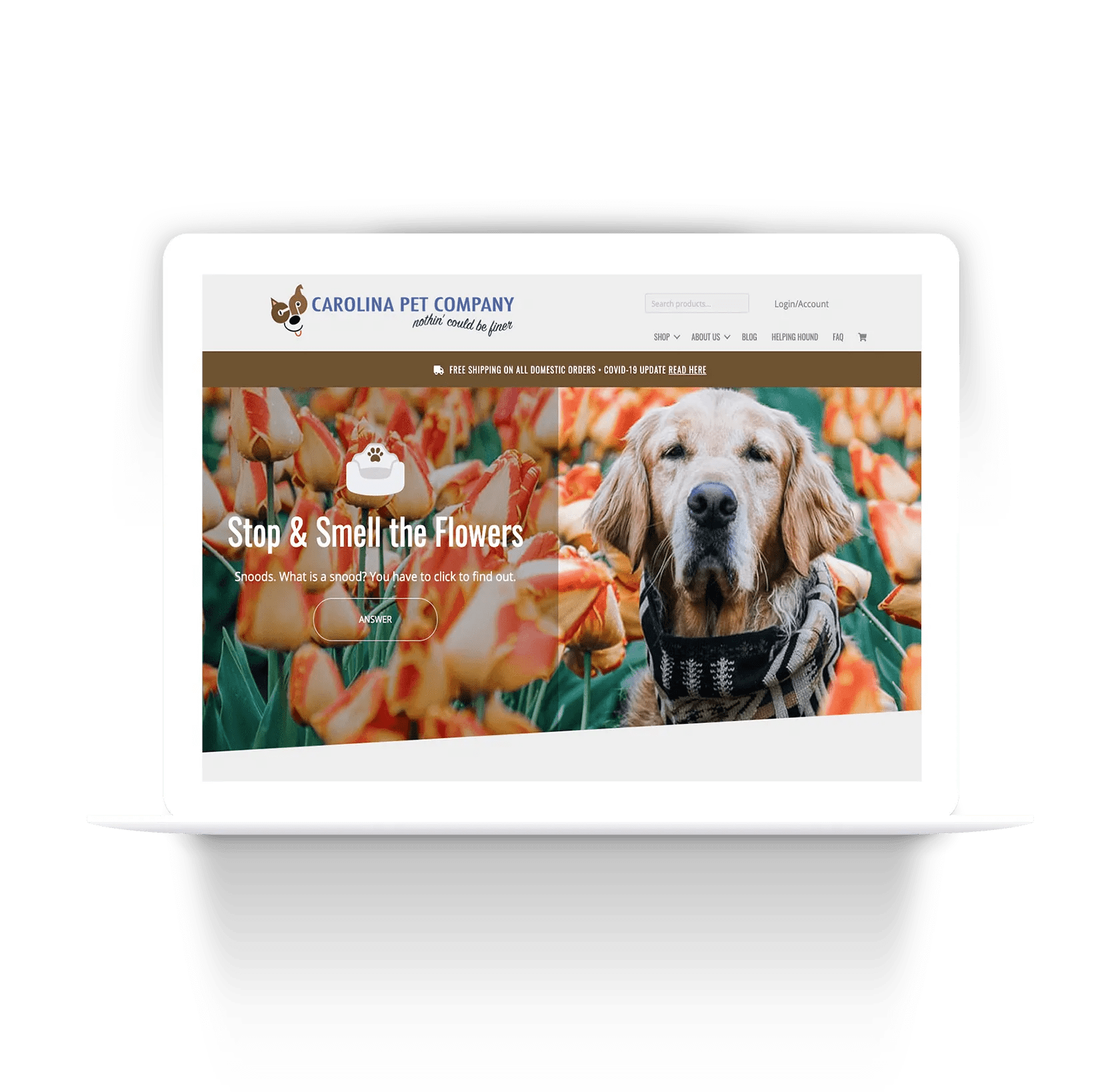 Carolina Pet Company Amazon Marketing Services Case Study