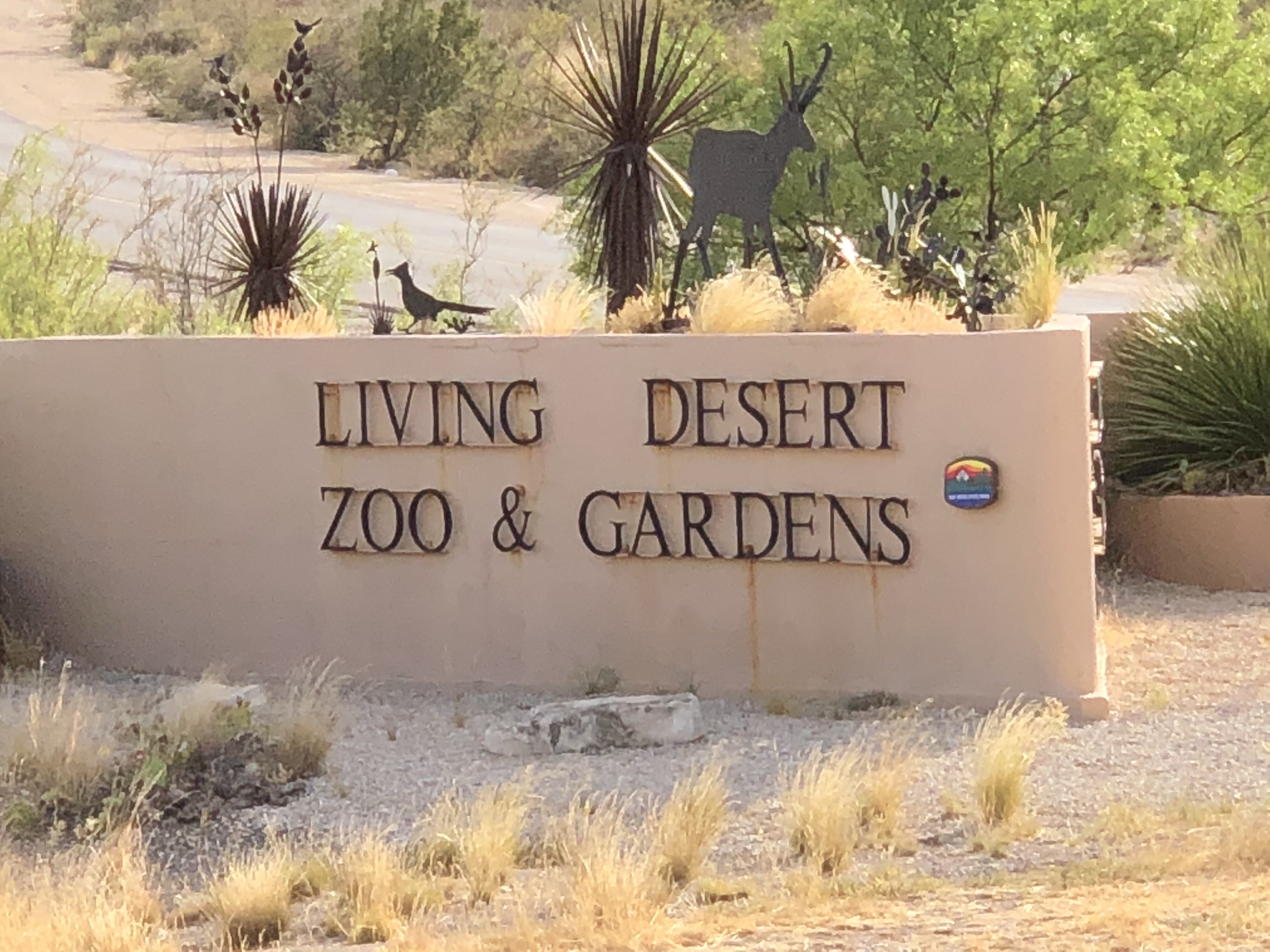 Living Desert Zoo & Gardens, NM Nomadic Wanderers