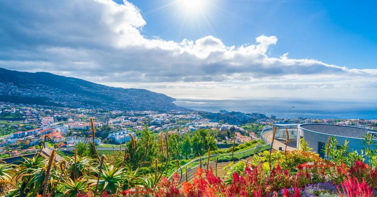 Pros And Cons Of Living In Madeira 2023 Nomad Life 101
