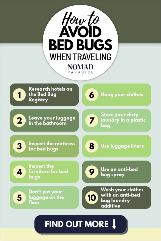 How to Avoid Bed Bugs When Traveling 11 Smart Tips