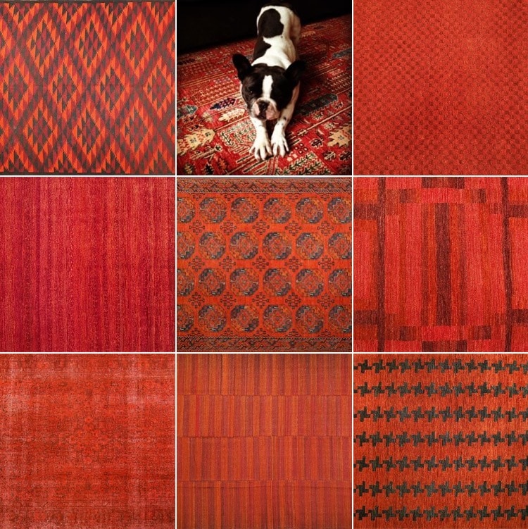 Color Inspires At Nomad Rugs Nomad Rugs