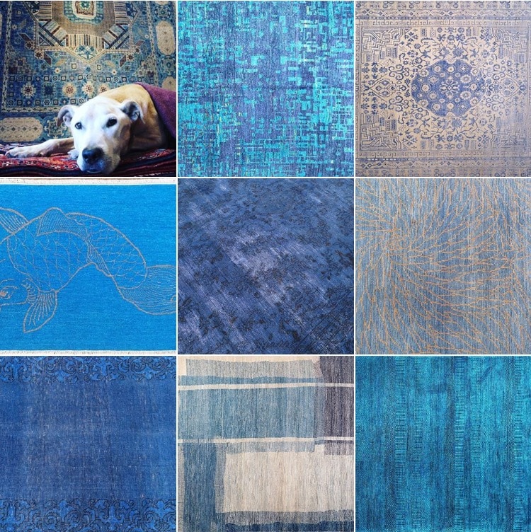 Color Inspires At Nomad Rugs Nomad Rugs