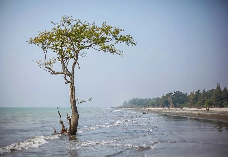 How to Reach Bakkhali from Kolkata, hotel, sea beach