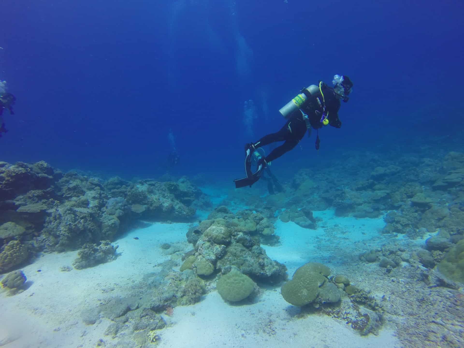 Diving in Coron, Philippines Tips for Diving and Getting your PADI Open Water Diver