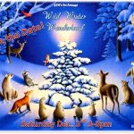 Wild Winter Wonderland at Back to Nature