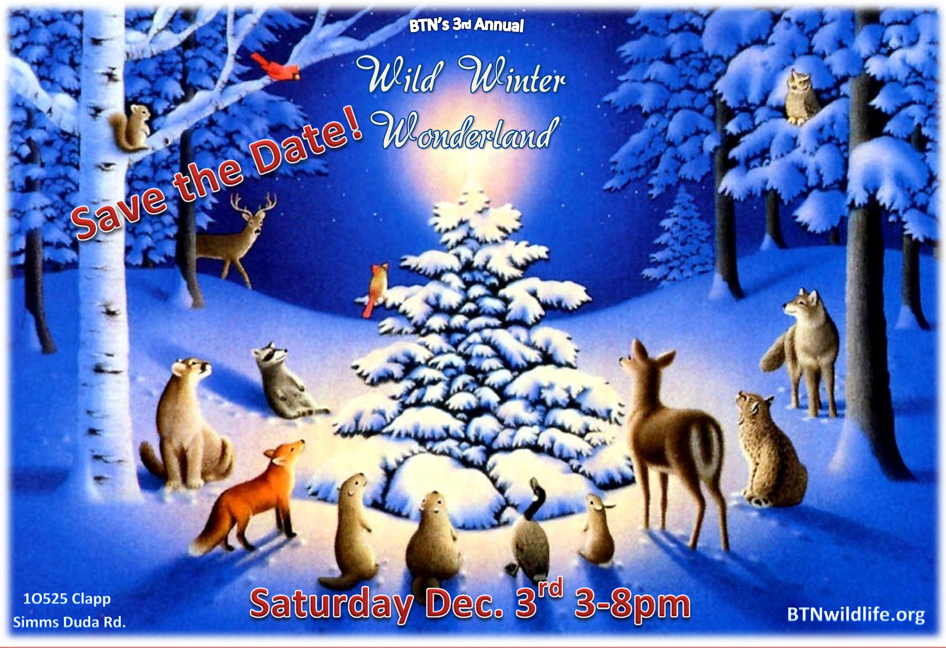 Wild Winter Wonderland at Back to Nature